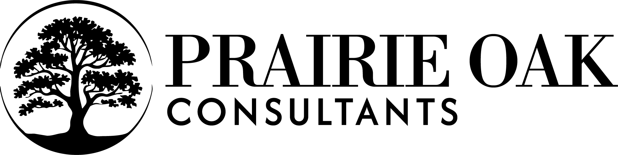 Community Impact Sponsors